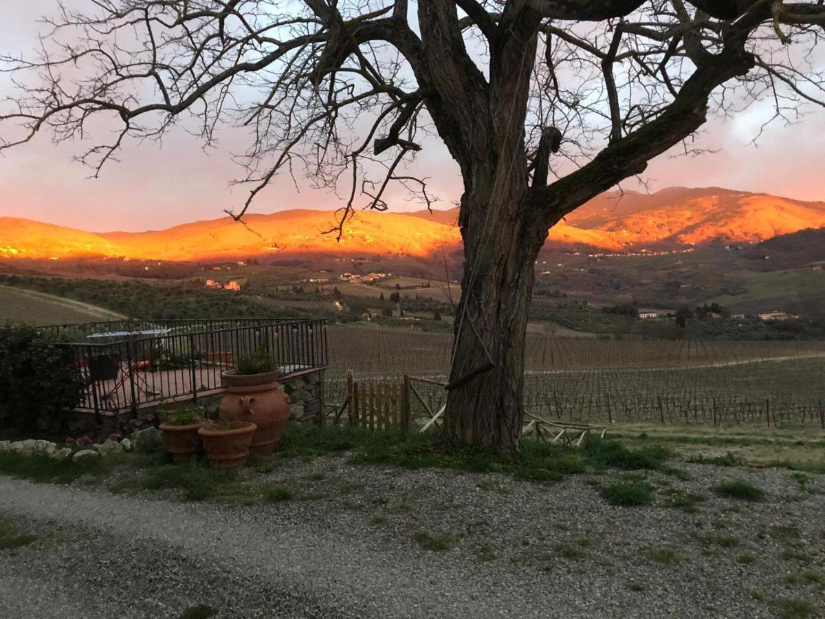 Villa Azienda Agricola Il Poggiolino Pelago Exterior foto