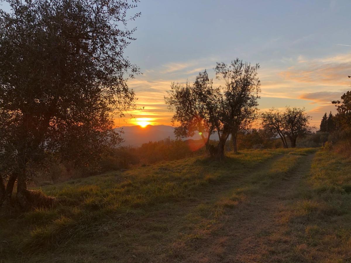 Villa Azienda Agricola Il Poggiolino Pelago Exterior foto